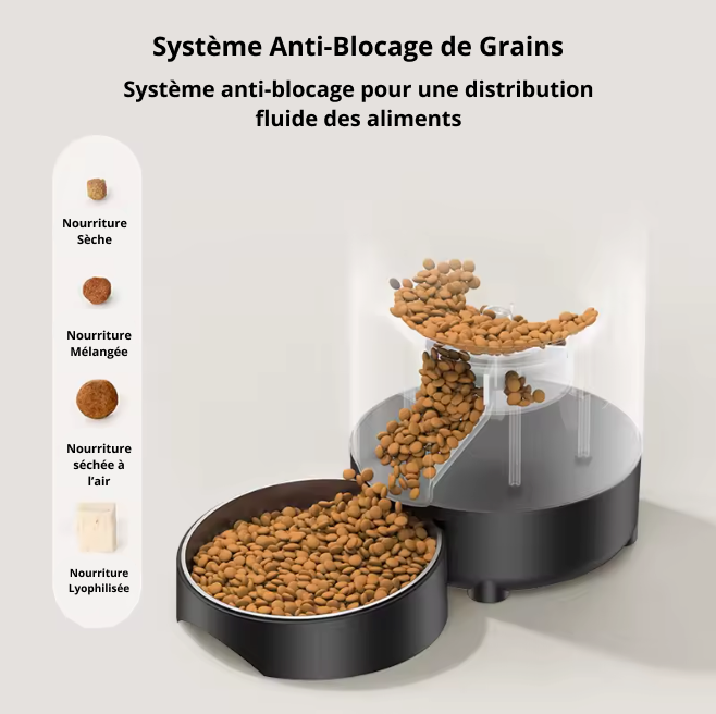Distributeur Automatique de Croquettes Rojeco 2L